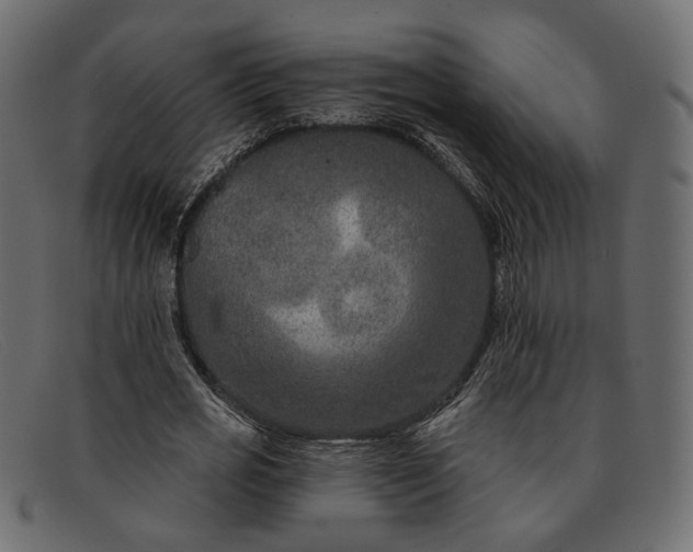 X0000091930725200709191359
