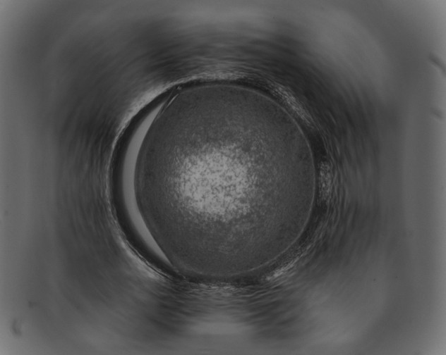 X0000091930726200709191359