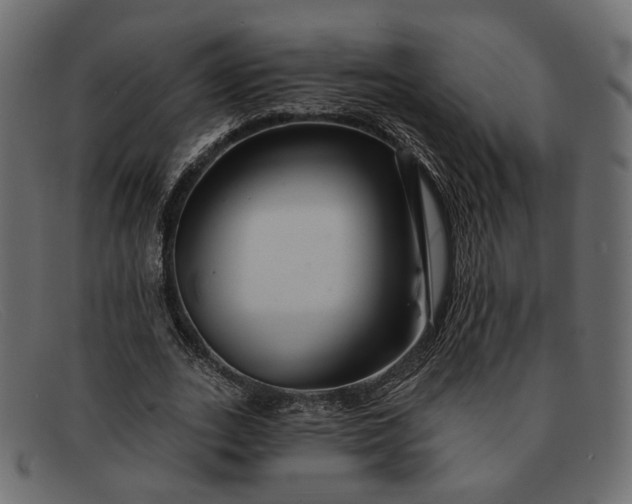 X0000091930727200709191359