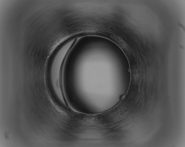 X0000091930728200709191359
