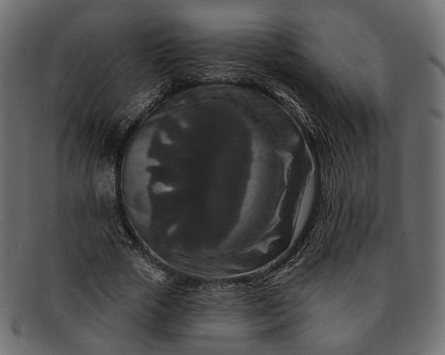 X0000091930729200709191359