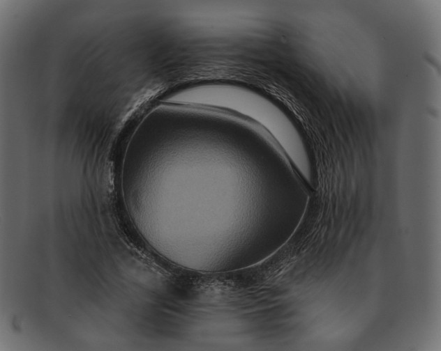 X0000091930731200709191359