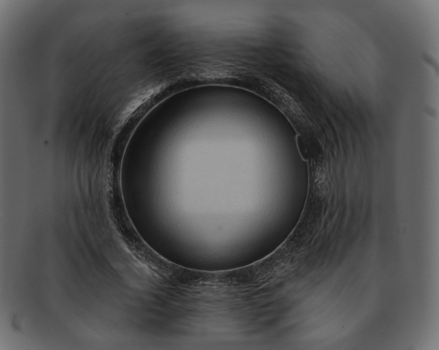 X0000091930732200709191359
