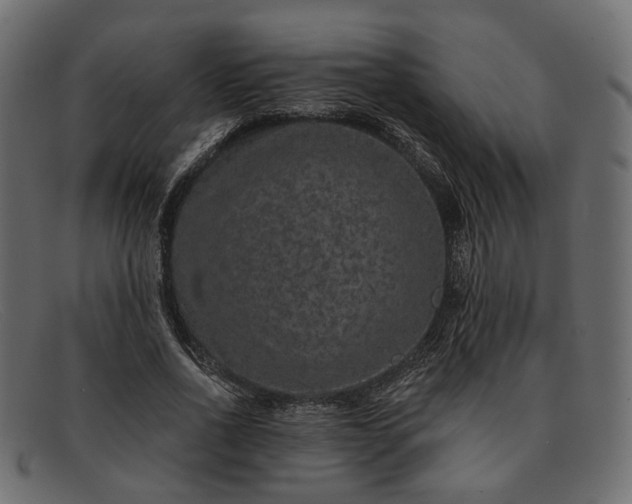 X0000091930734200709191359