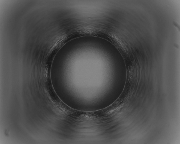 X0000091930739200709191359