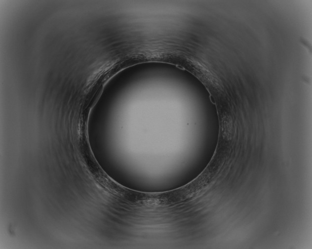 X0000091930740200709191359