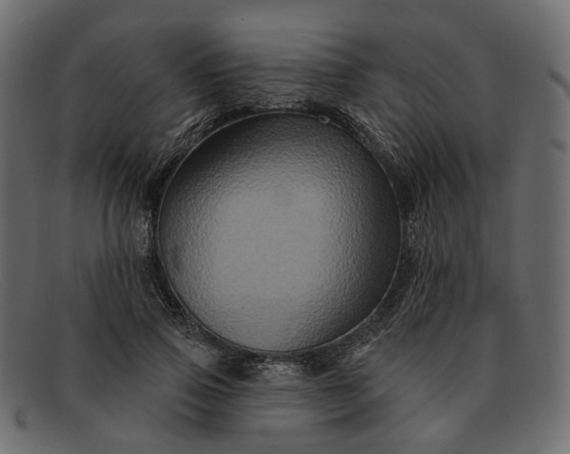 X0000091930741200709191359