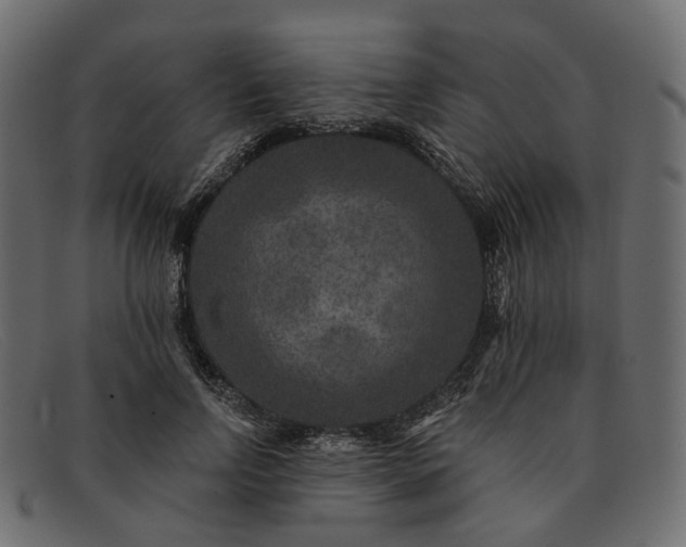X0000091930742200709191359