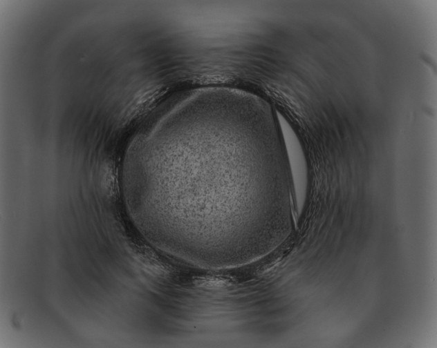 X0000091930743200709191359