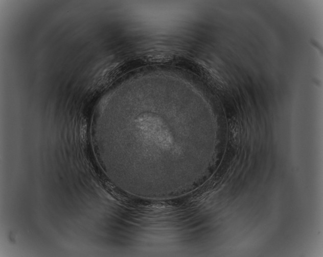 X0000091930745200709191359