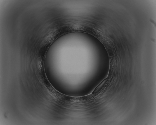 X0000091930746200709191359