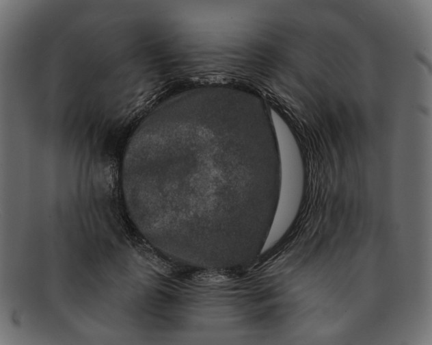X0000091930747200709191359