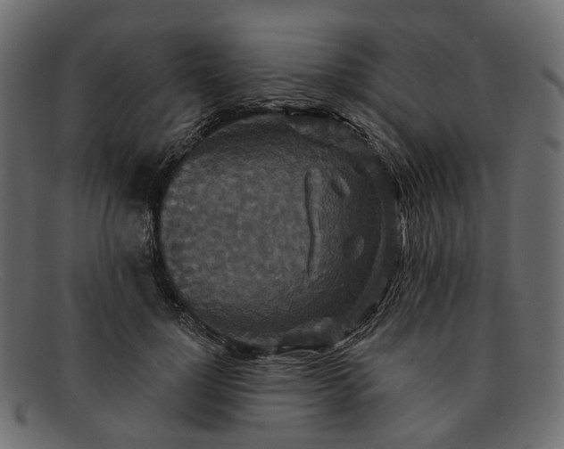 X0000091930748200709191359