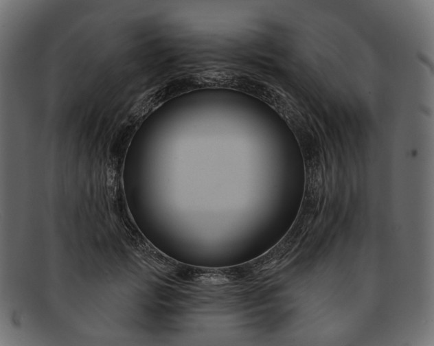X0000091930749200709191359
