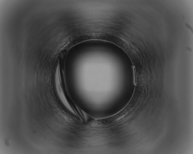 X0000091930750200709191359