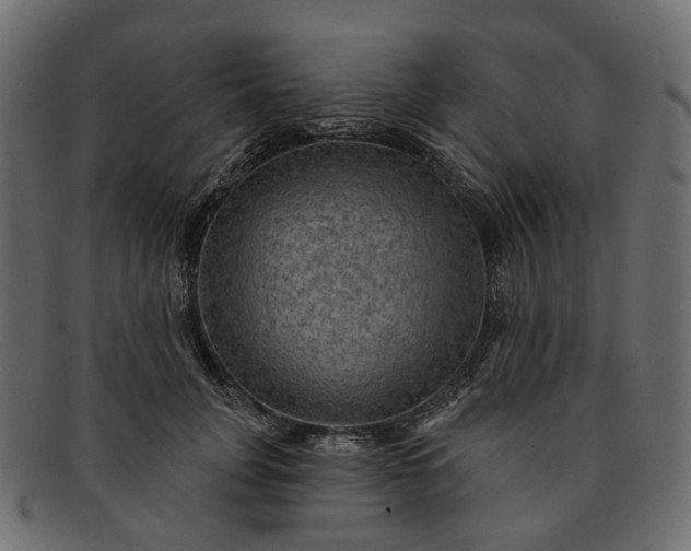 X0000091930751200709191359