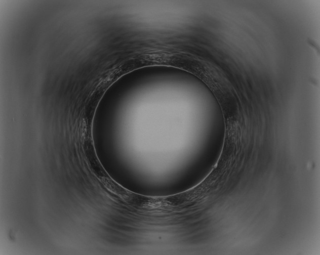 X0000091930752200709191359