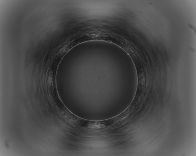 X0000091930754200709191359