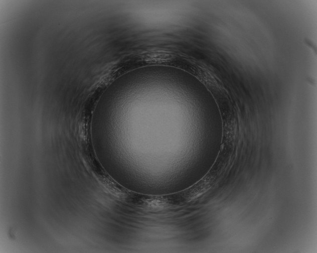 X0000091930755200709191359
