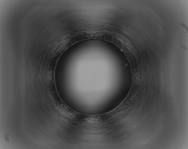 X0000091930756200709191359