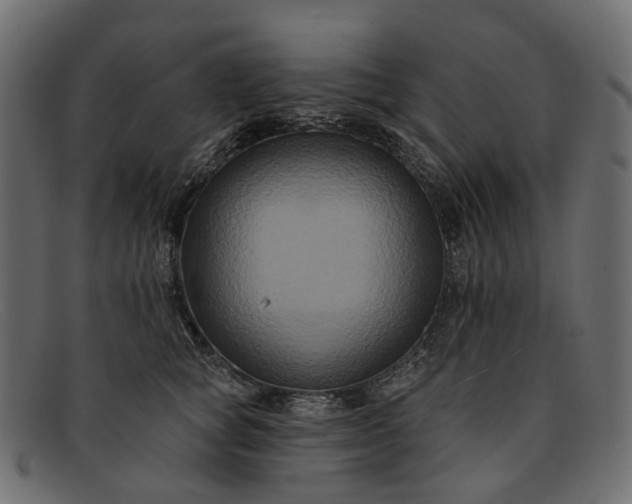 X0000091930757200709191359