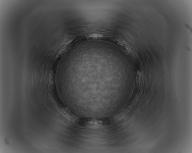 X0000091930760200709191359