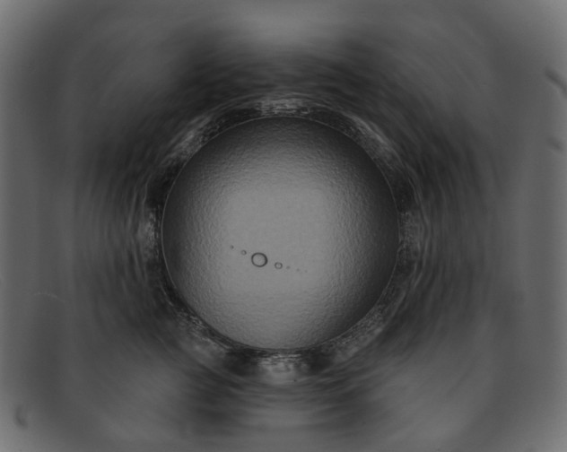 X0000091930761200709191359