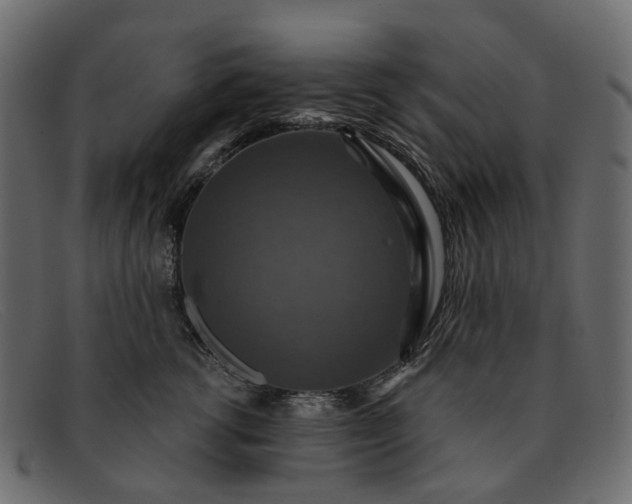 X0000091930762200709191359