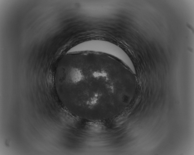 X0000091930763200709191359