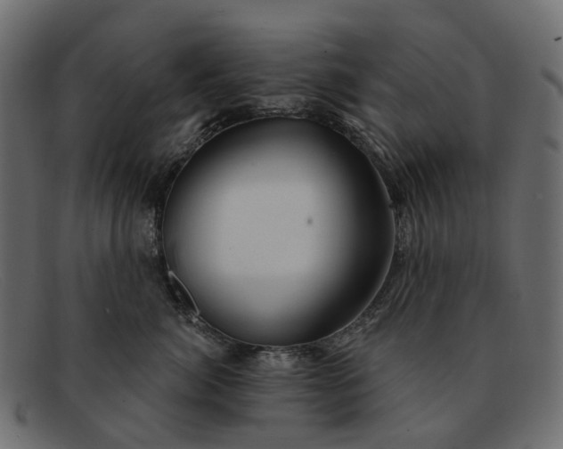 X0000091930764200709191359