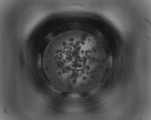 X0000091930765200709191400