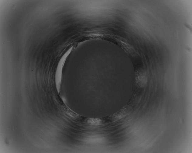 X0000091930767200709191400
