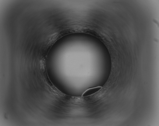 X0000091930768200709191400