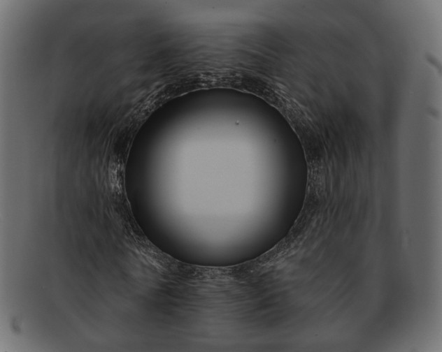 X0000091930770200709191359