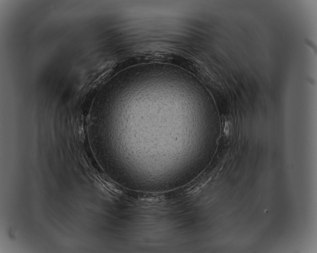 X0000091930771200709191359