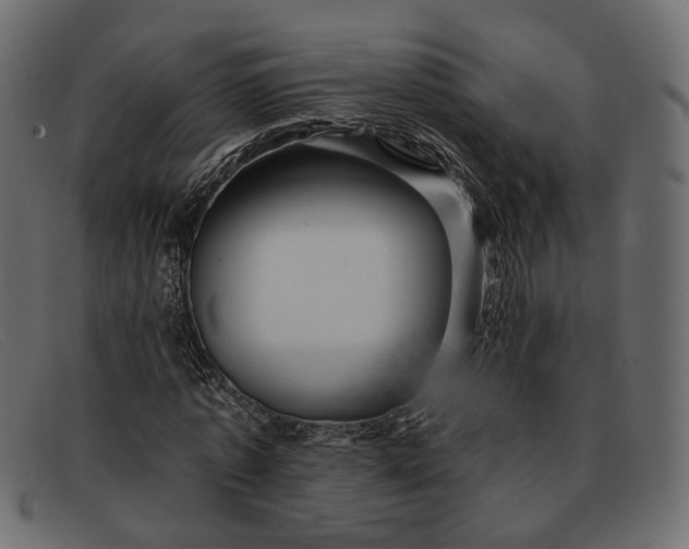X0000091930773200709191359