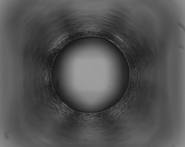 X0000091930774200709191359