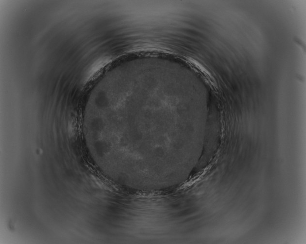 X0000091930775200709191359