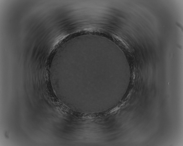 X0000091930776200709191359