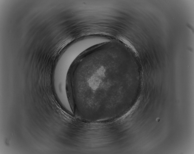 X0000091930777200709191359