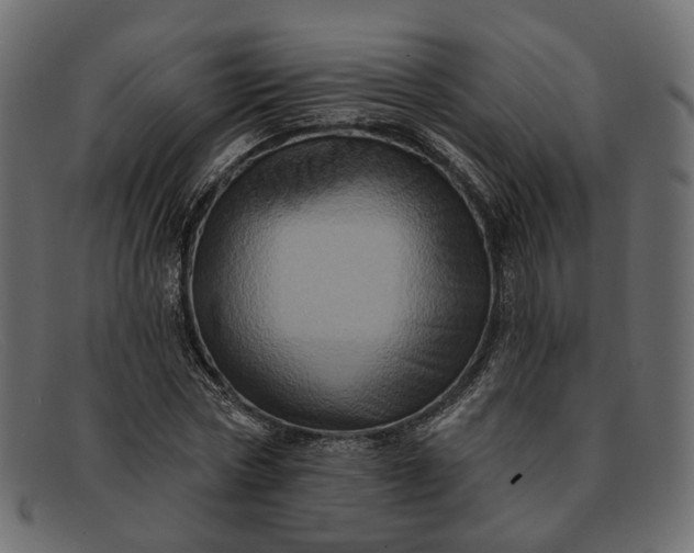 X0000091930778200709191359