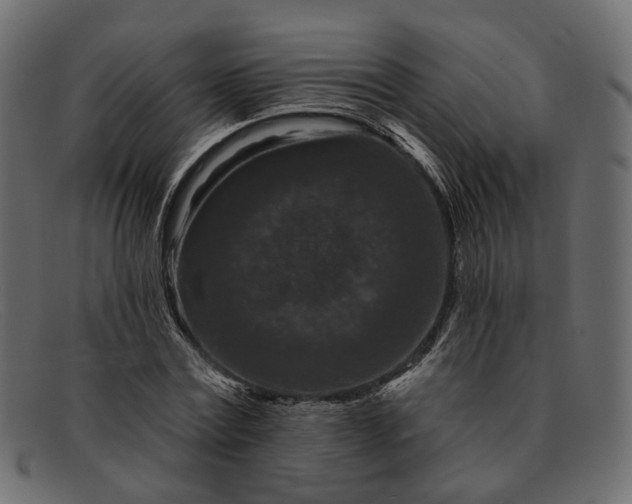 X0000091930779200709191359