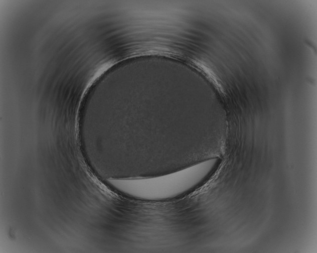X0000091930780200709191359