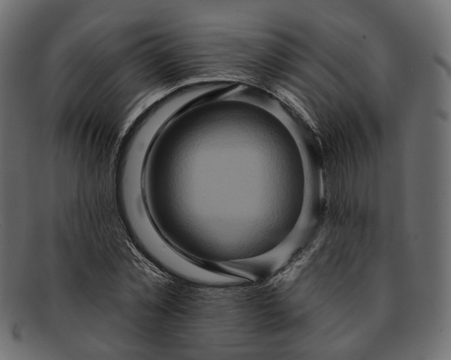 X0000091930781200709191359