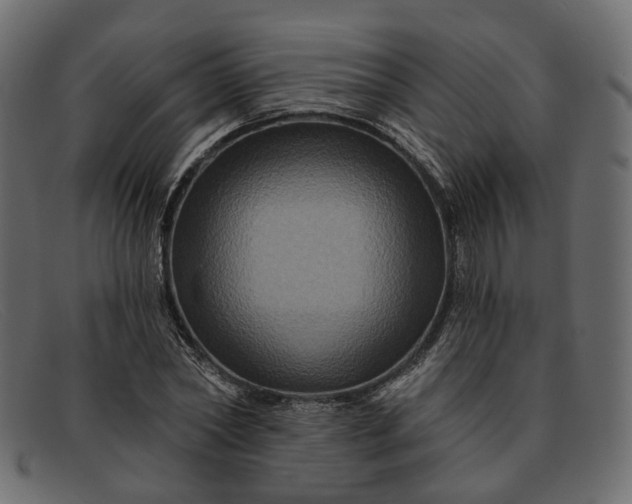 X0000091930782200709191359