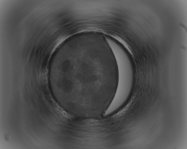 X0000091930783200709191359