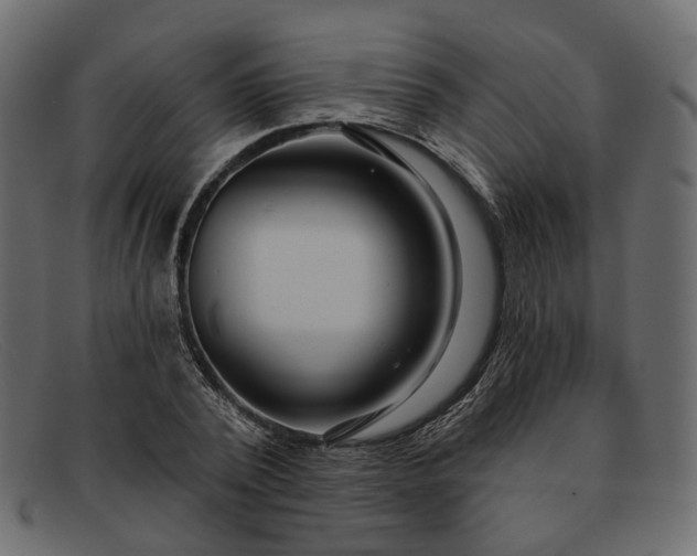 X0000091930784200709191359