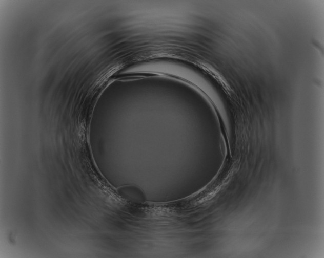 X0000091930785200709191359