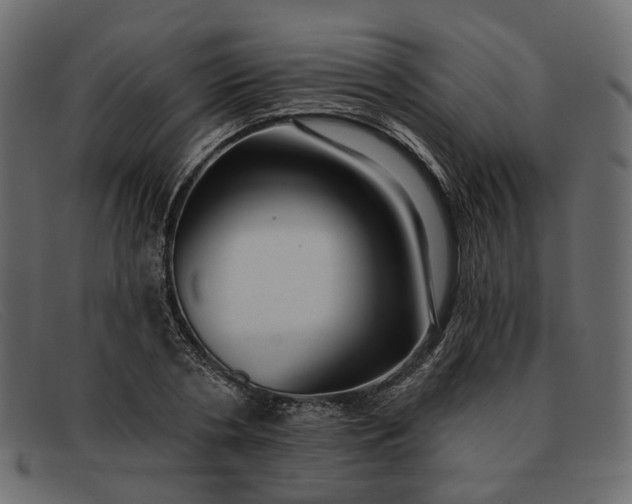 X0000091930786200709191359