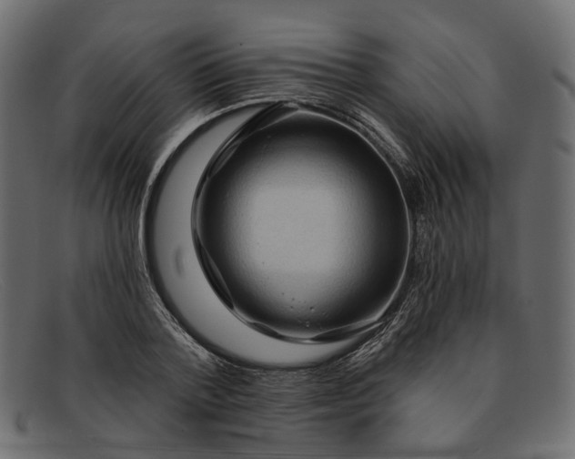 X0000091930788200709191359